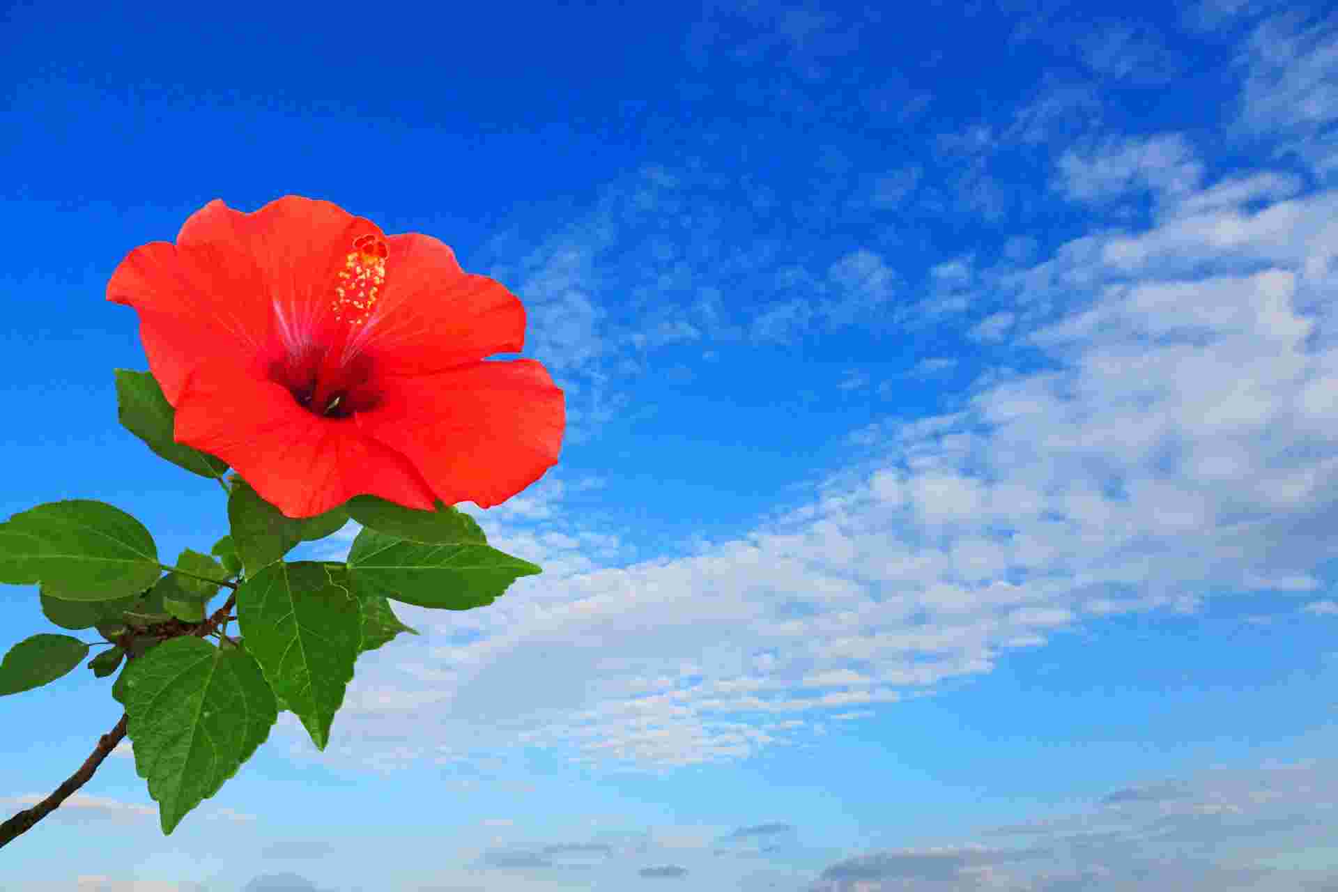 メインビジュアル